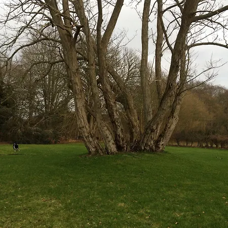 Panzió Objerggaard Bedrooms