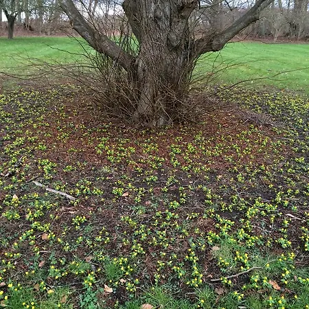 Panzió Objerggaard Bedrooms
